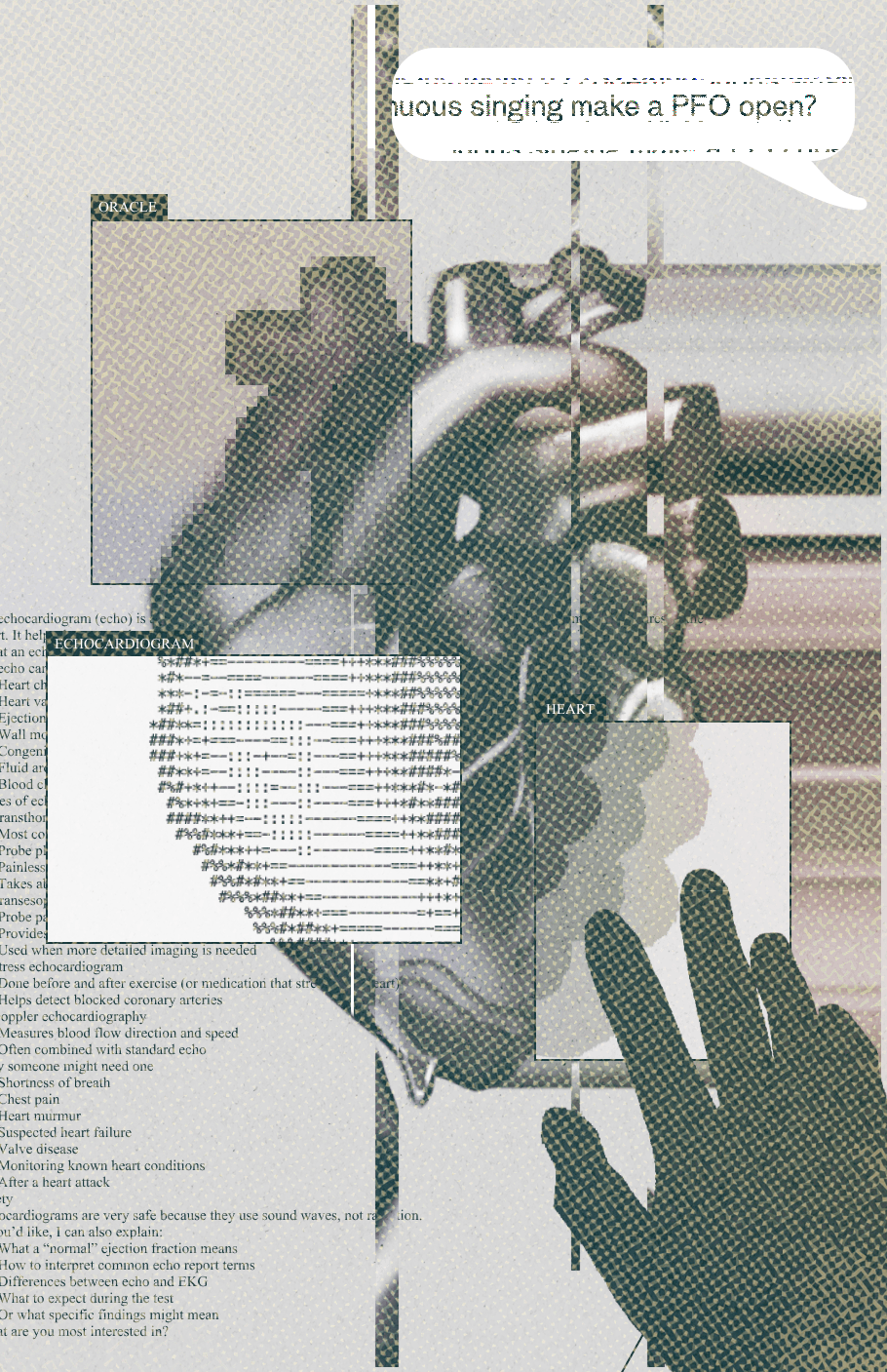 echocardiogram for [kernel](https://www.kernelmag.io/)